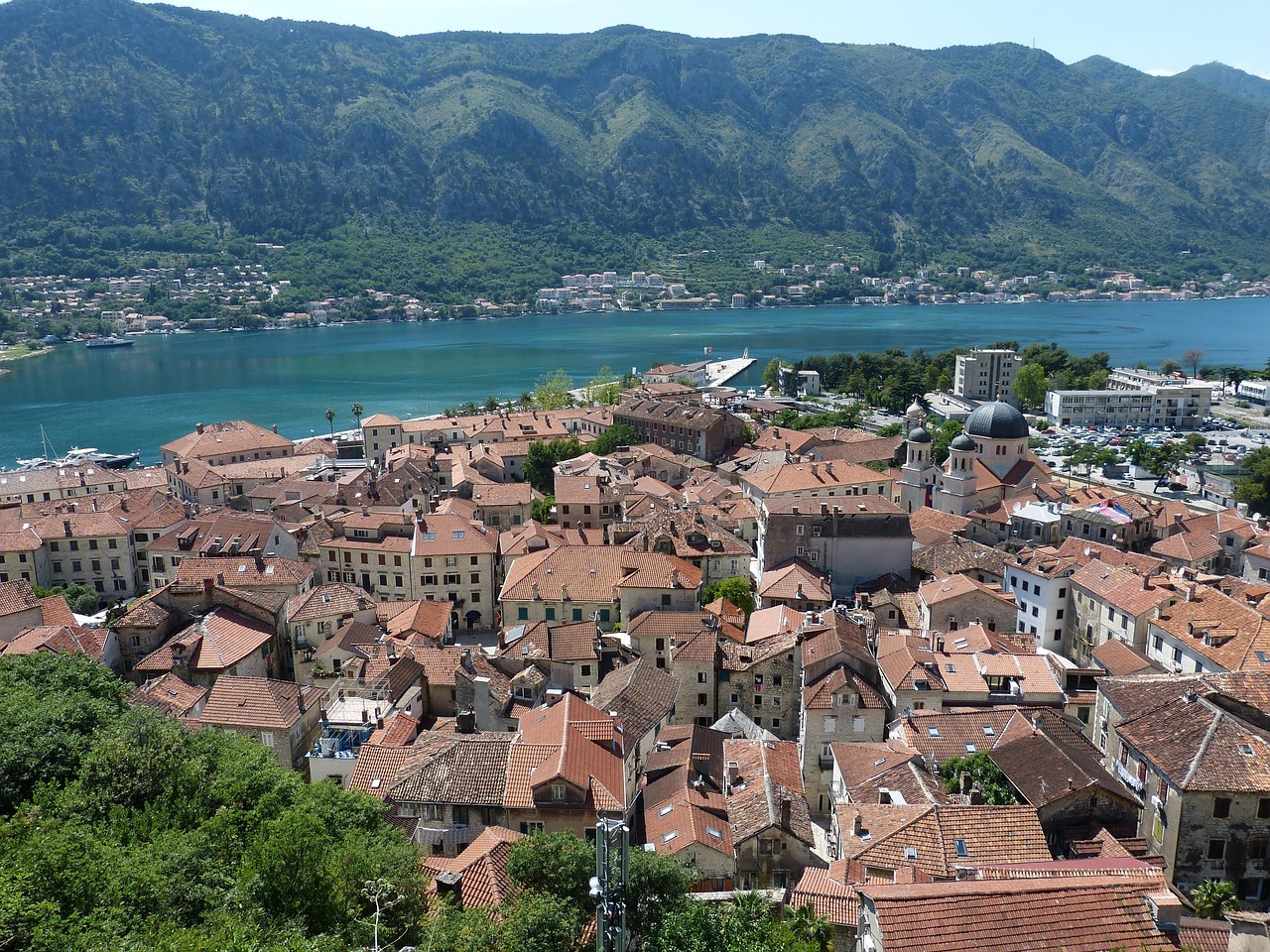 Kotor