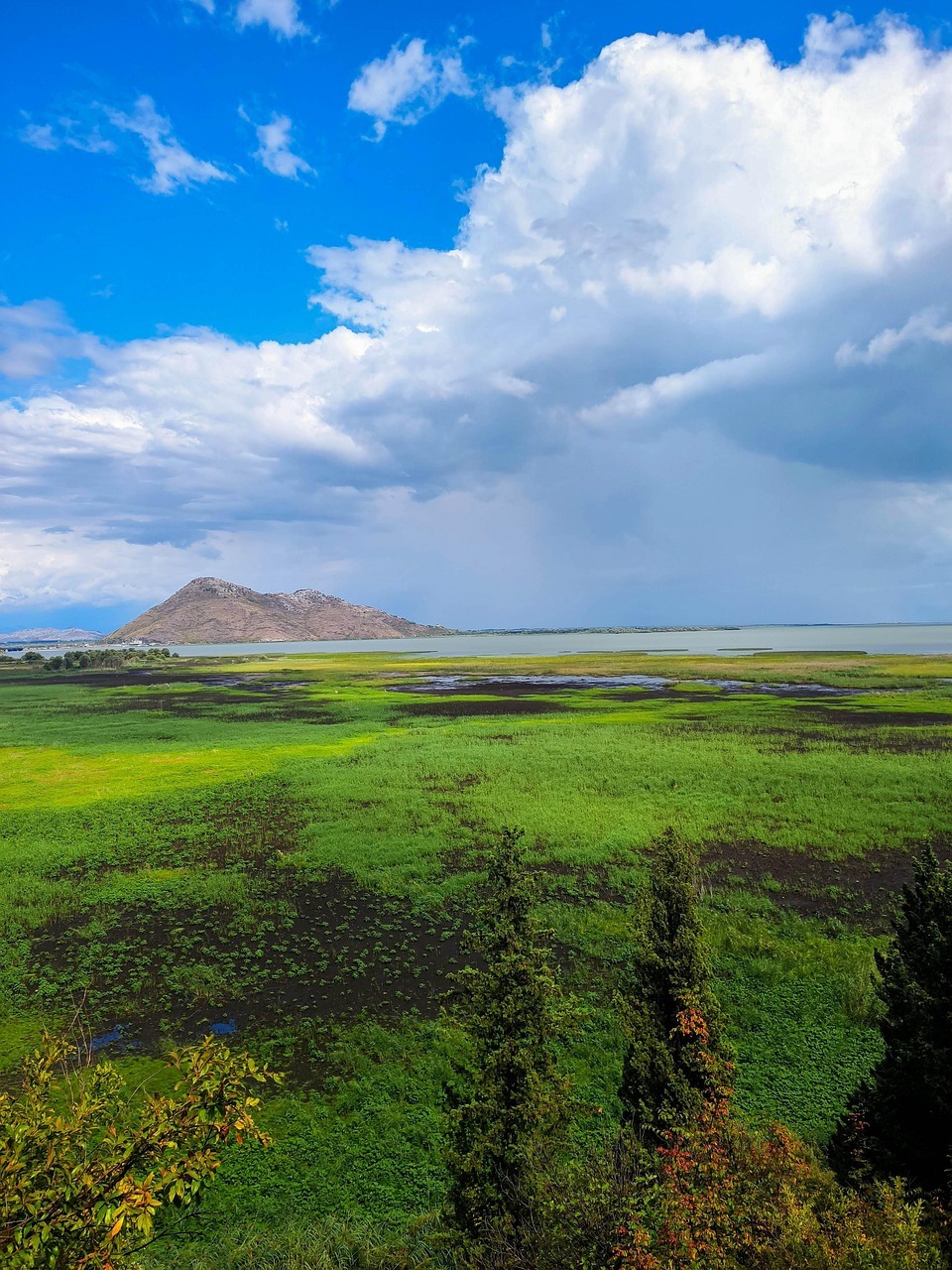Lago Skadar
