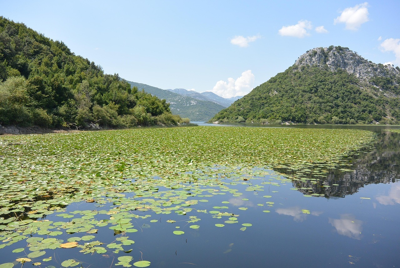 Lago Skadar