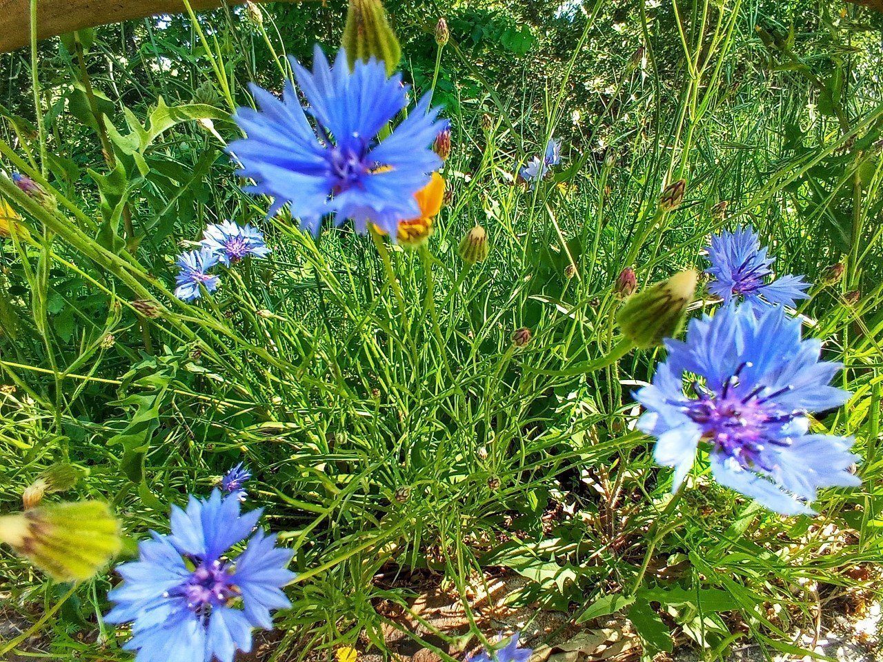 thumbnail_20200621_174617-01