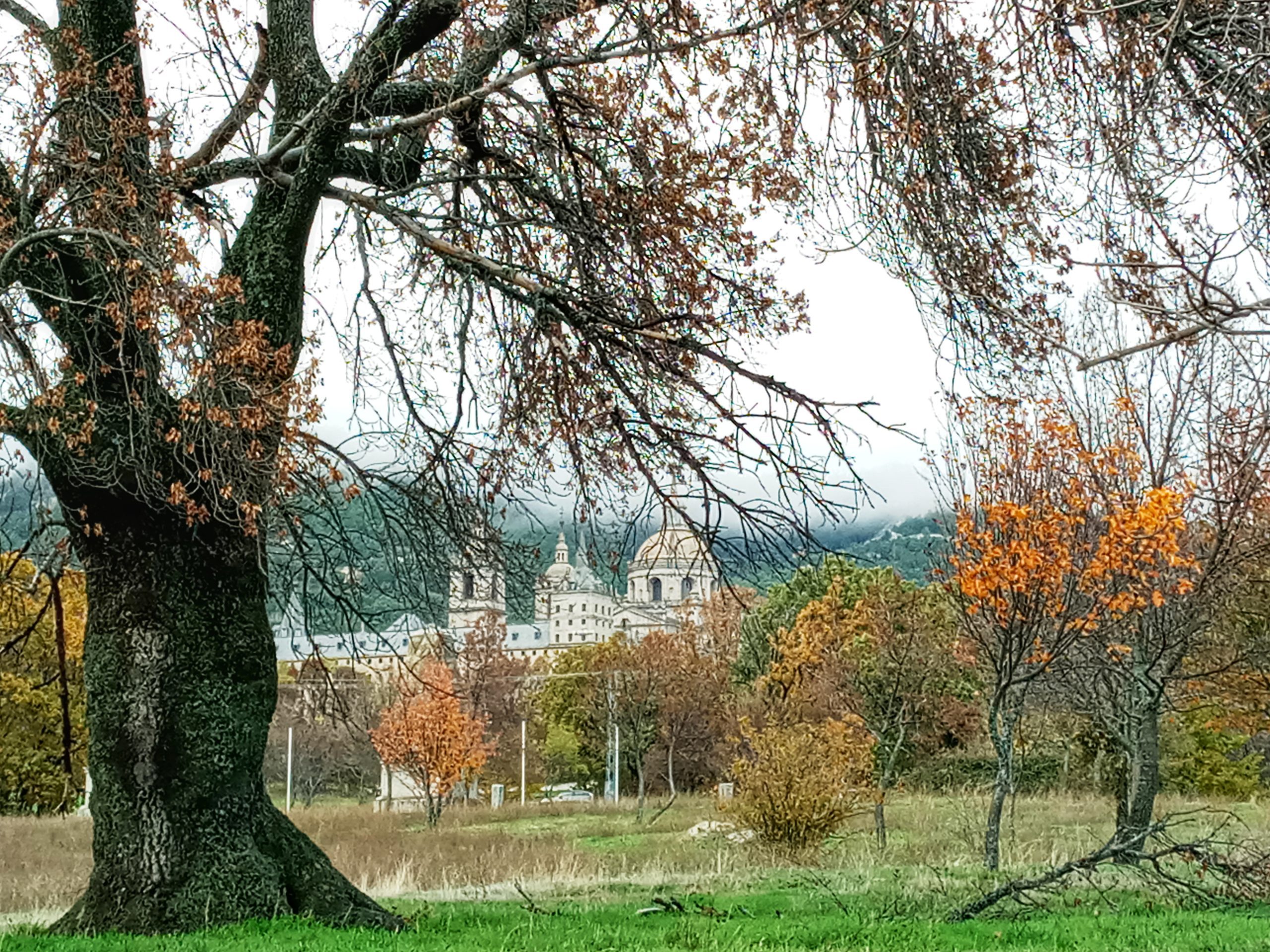 Todo lo que esperas y lo que no de El Escorial y alrededores