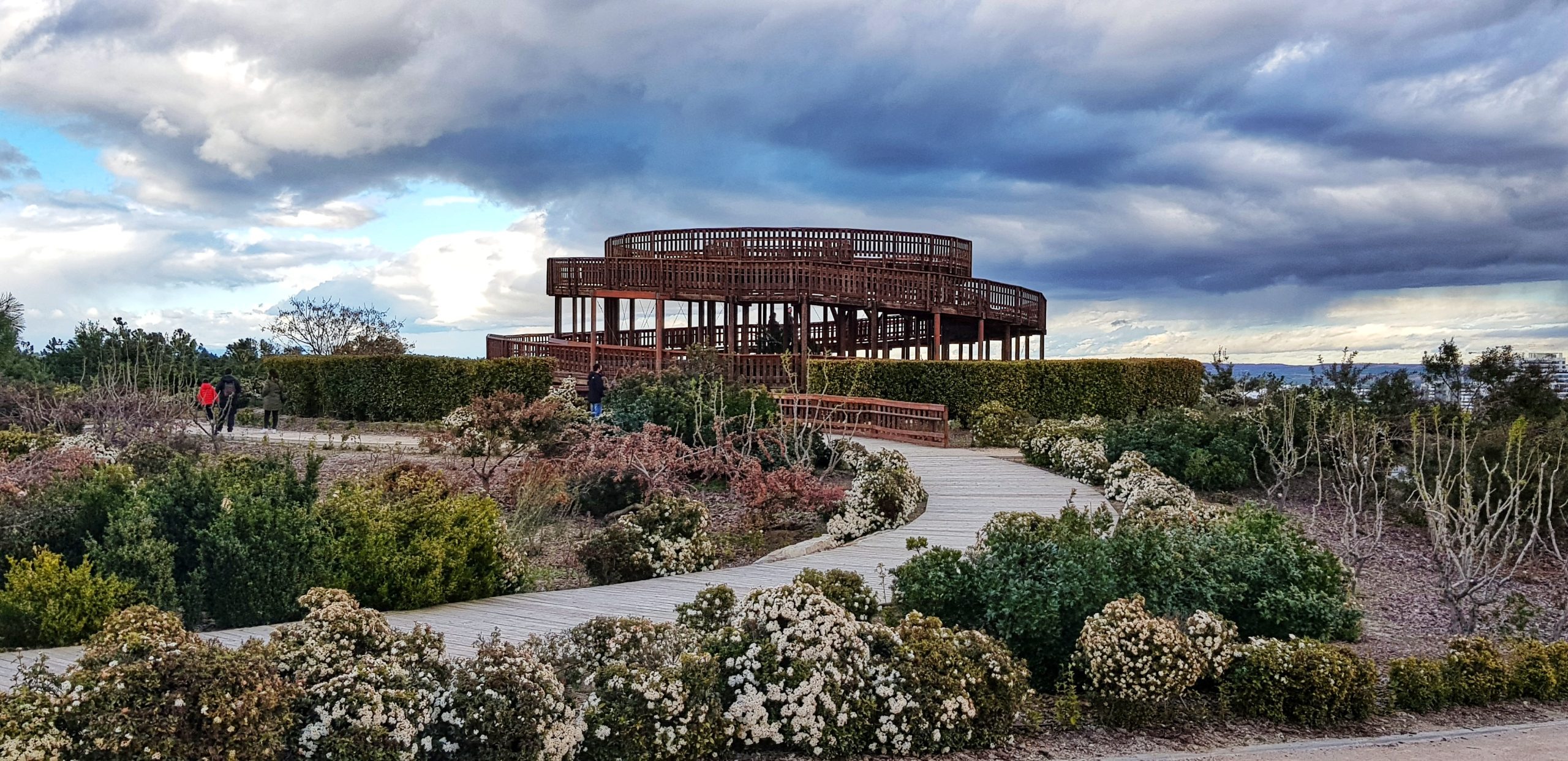 Parque Forestal de Valdebebas: El Bosque de Madrid