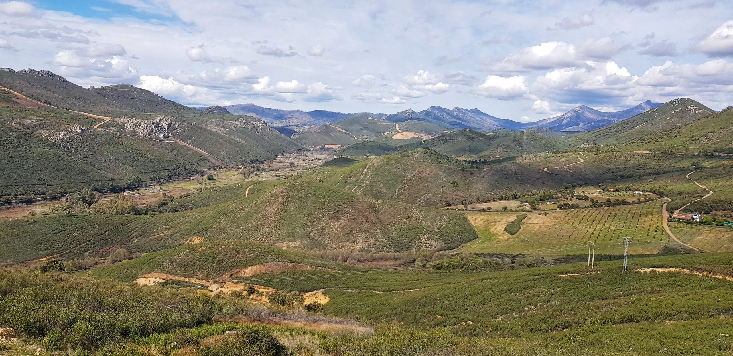 ¿Enoturismo en Extremadura? ¡¡Sí!! Y te lo enseñamos en Bodegas Ruiz Torres