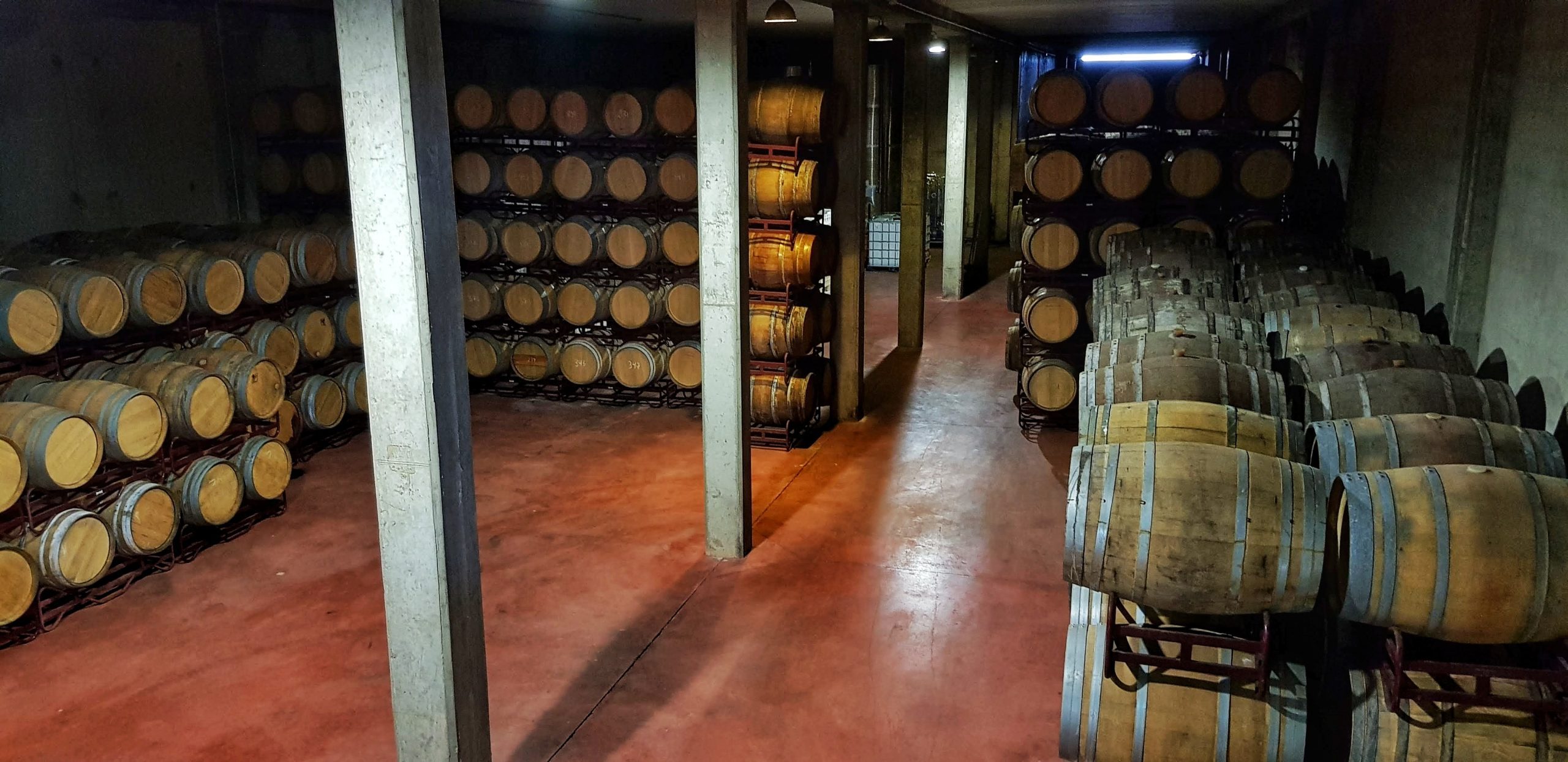 ¿Enoturismo en Extremadura? ¡¡Sí!! Y te lo enseñamos en Bodegas Ruiz Torres