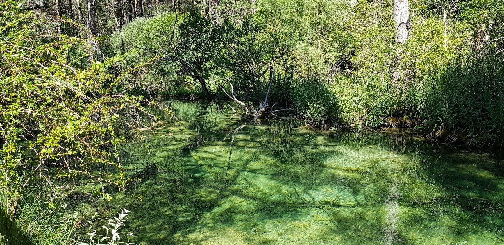 Nacimiento del Río Cuervo