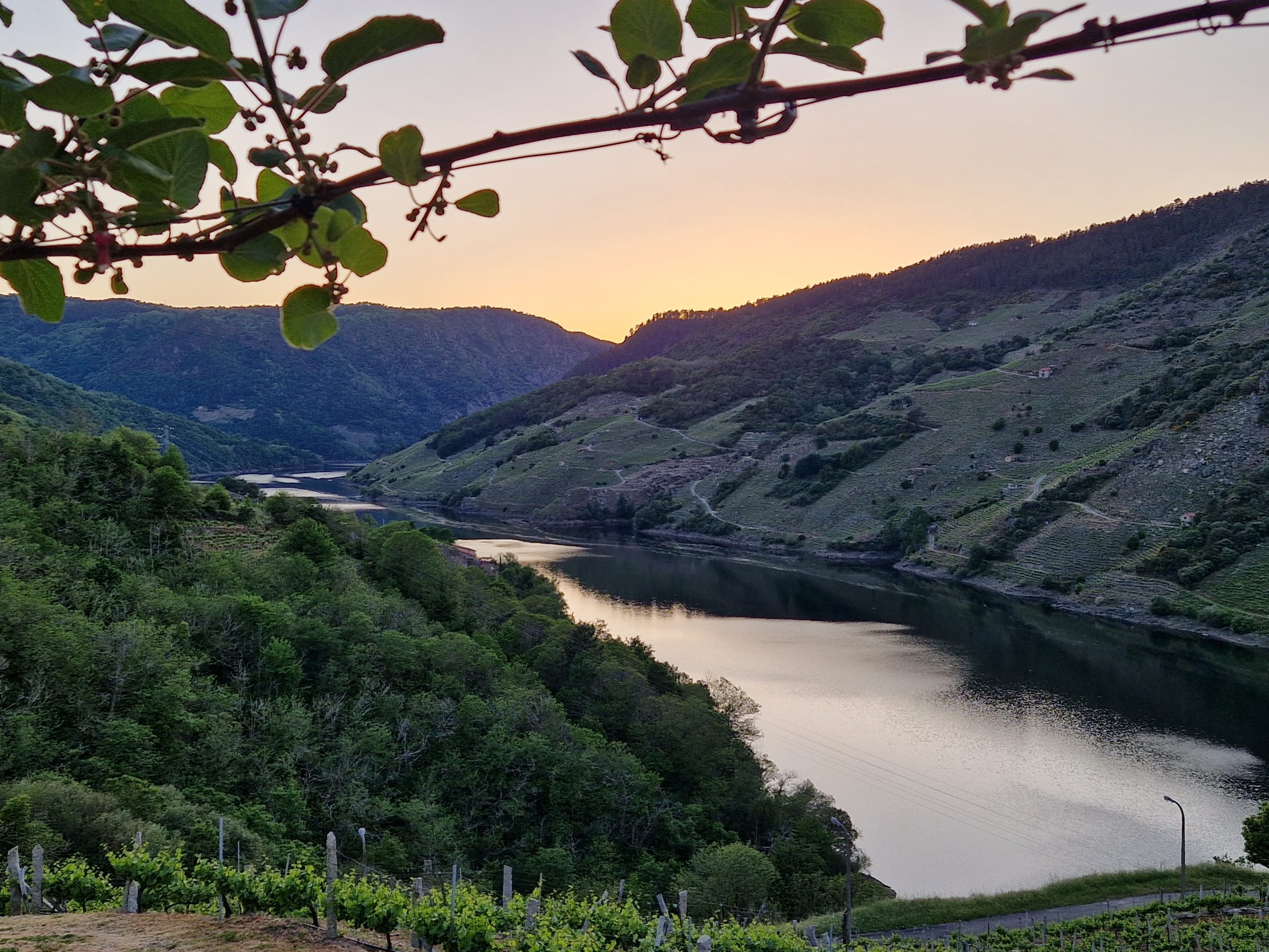 Atardecer sobre los Cañones del Sil Descubre la viticultura heroica con estas 3 bodegas de la Ribeira Sacra