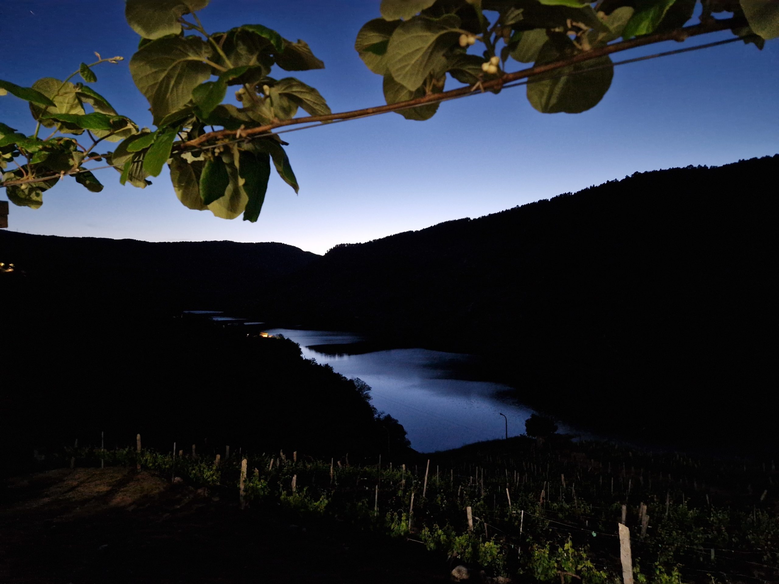 Descubre la viticultura heroica con estas 3 bodegas de la Ribeira Sacra 