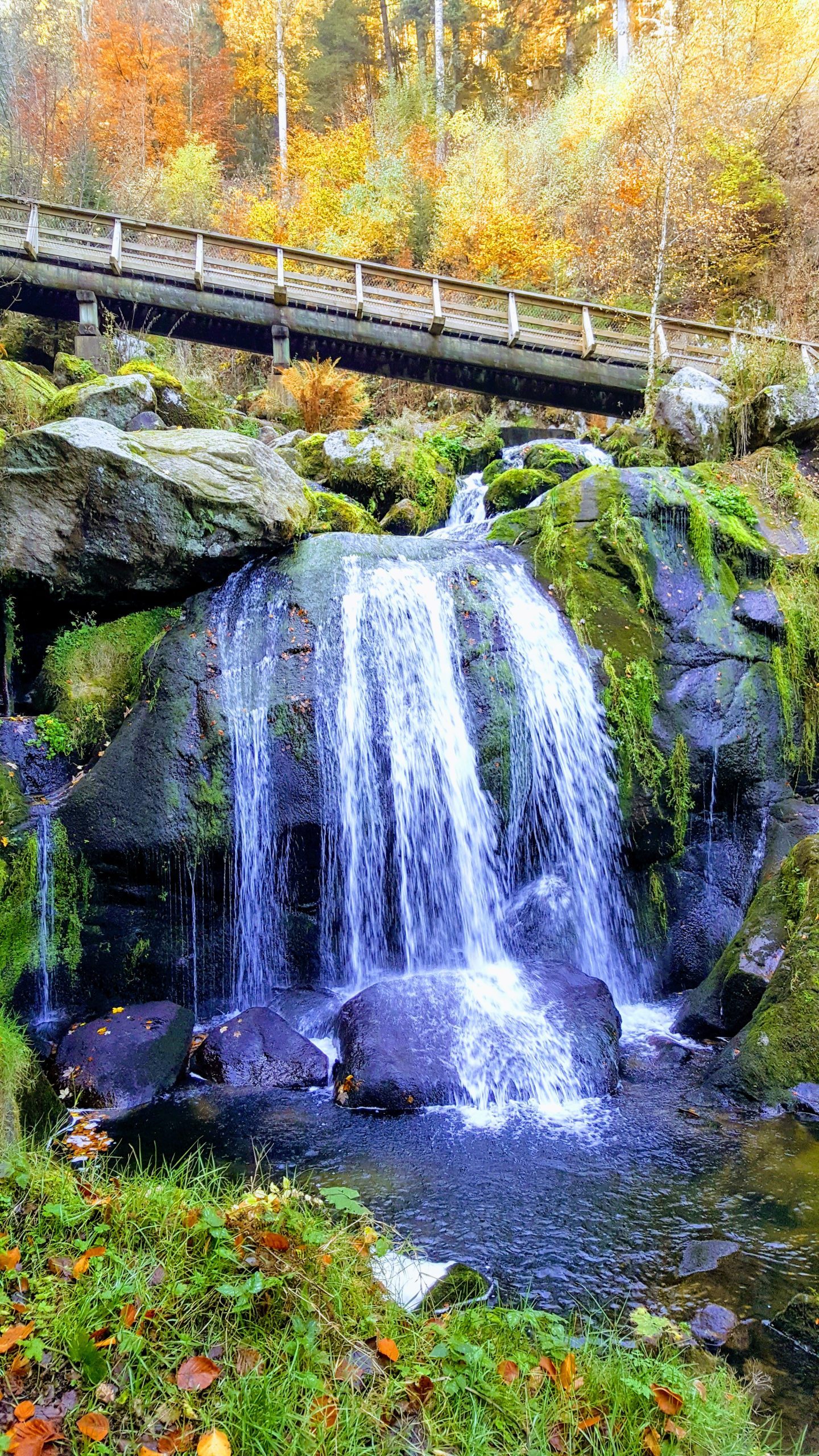 Cataratas de Triberg