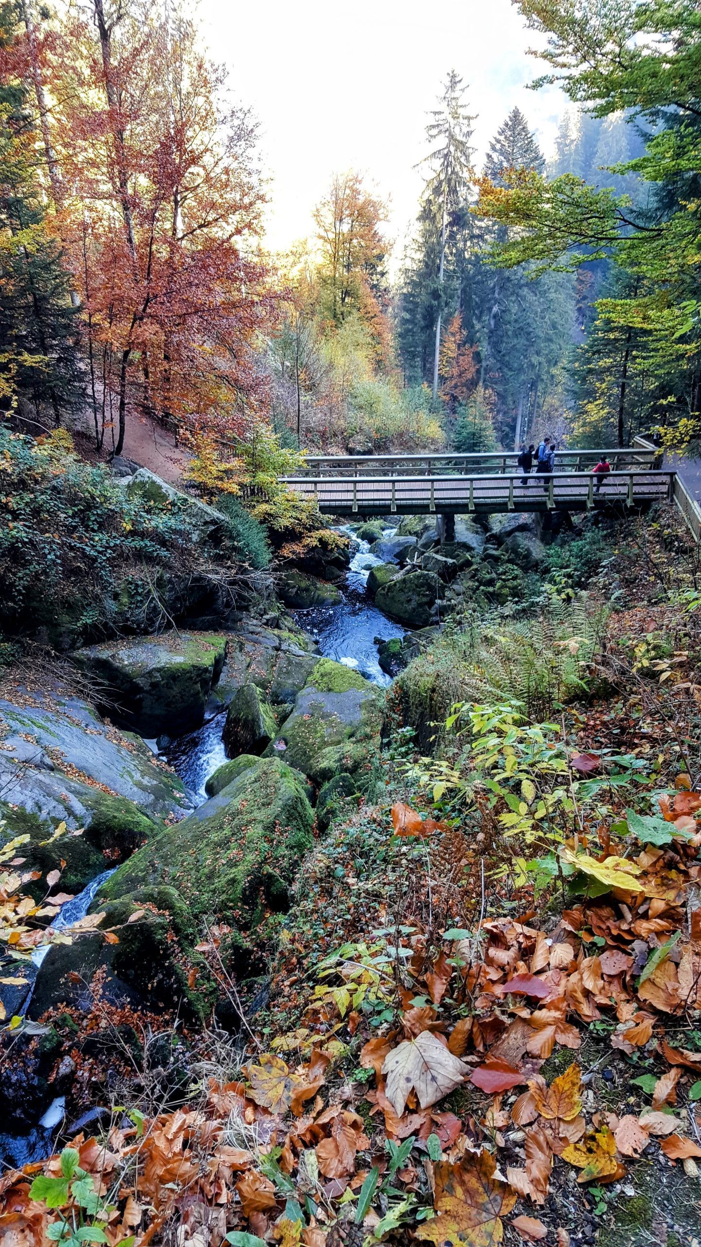 Cataratas de Triberg