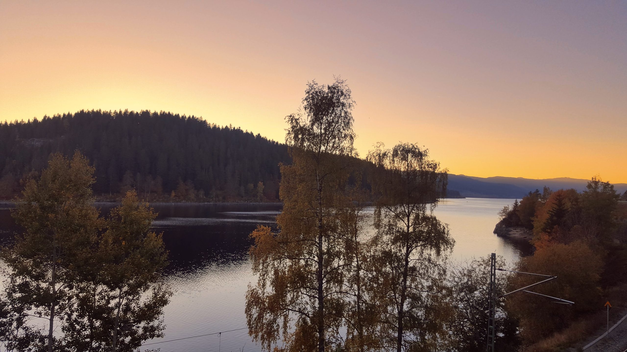 3 lugares increíbles que ver en la Selva Negra