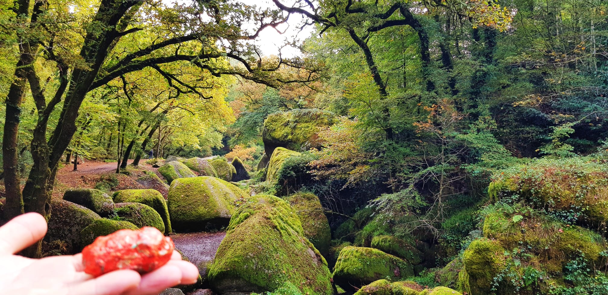 El Bosque de Huelgoat o cómo encontrar a Merlín en la Bretaña Francesa