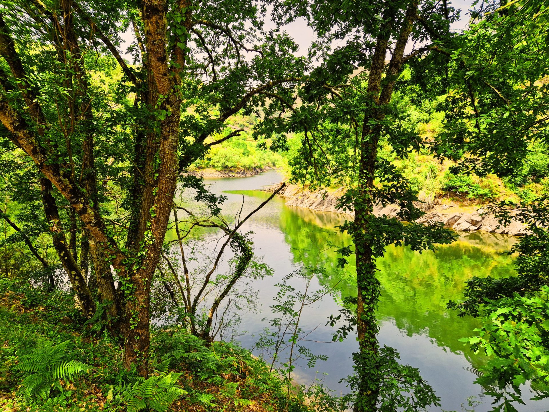 Rio Mao Rd Ruta de pasarelas del Río Mao en Ribeira Sacra | Vive la Vida Roca