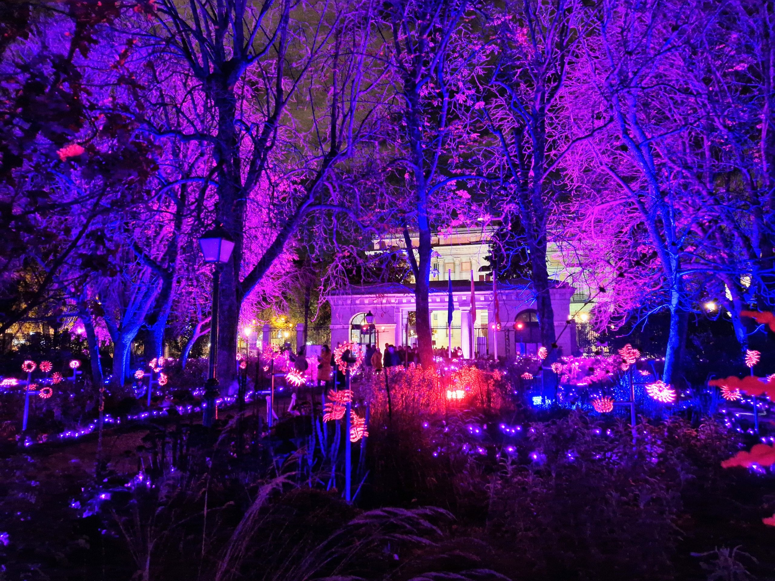20221215_201021 (1)