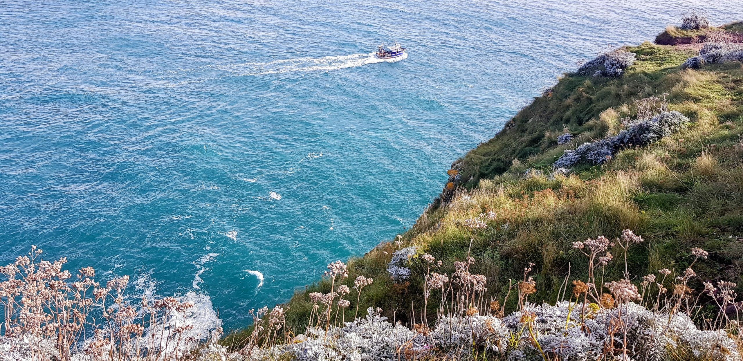 Cap Frehel