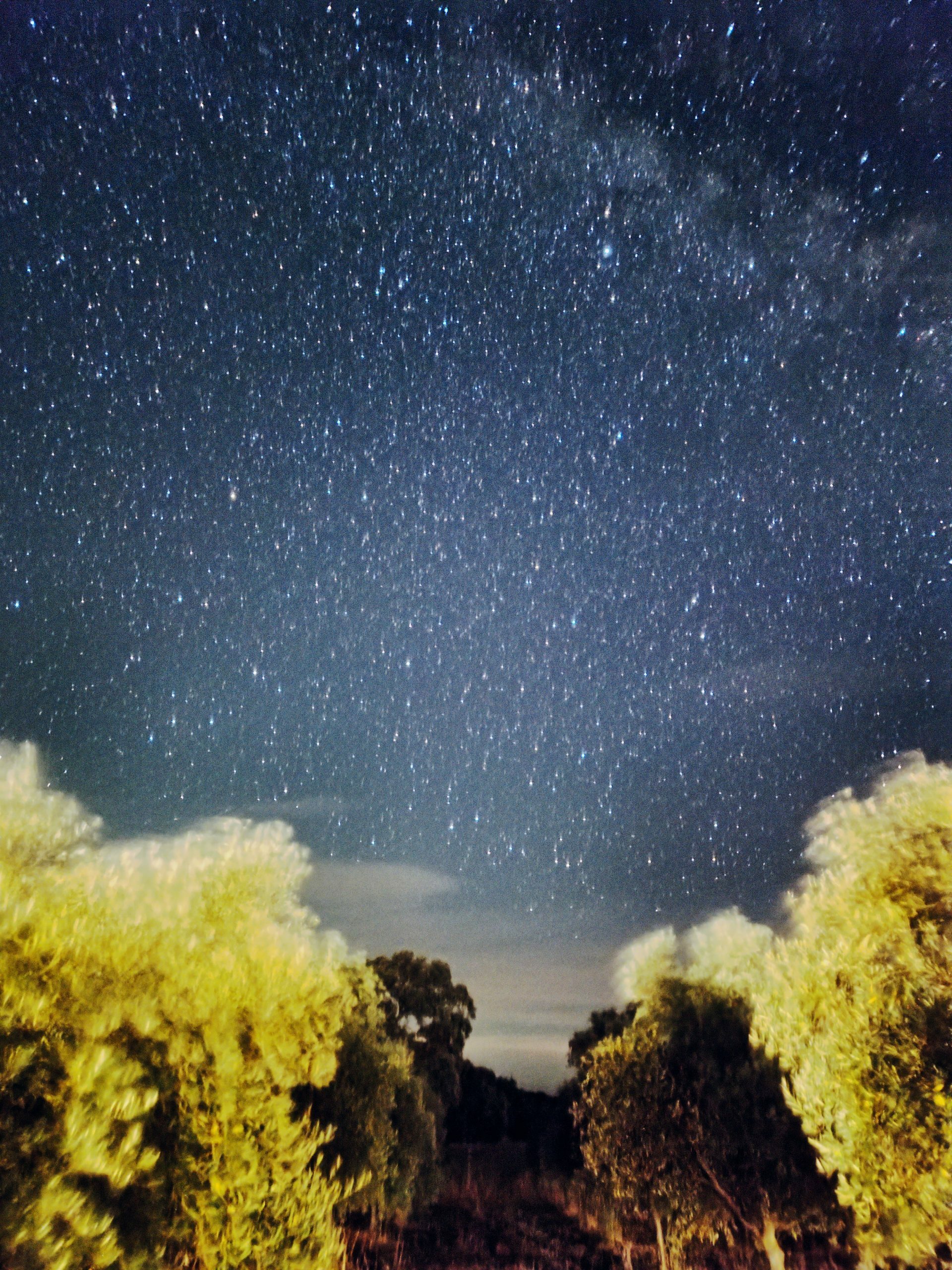 Oleoturismo en Extremadura Los Encepados