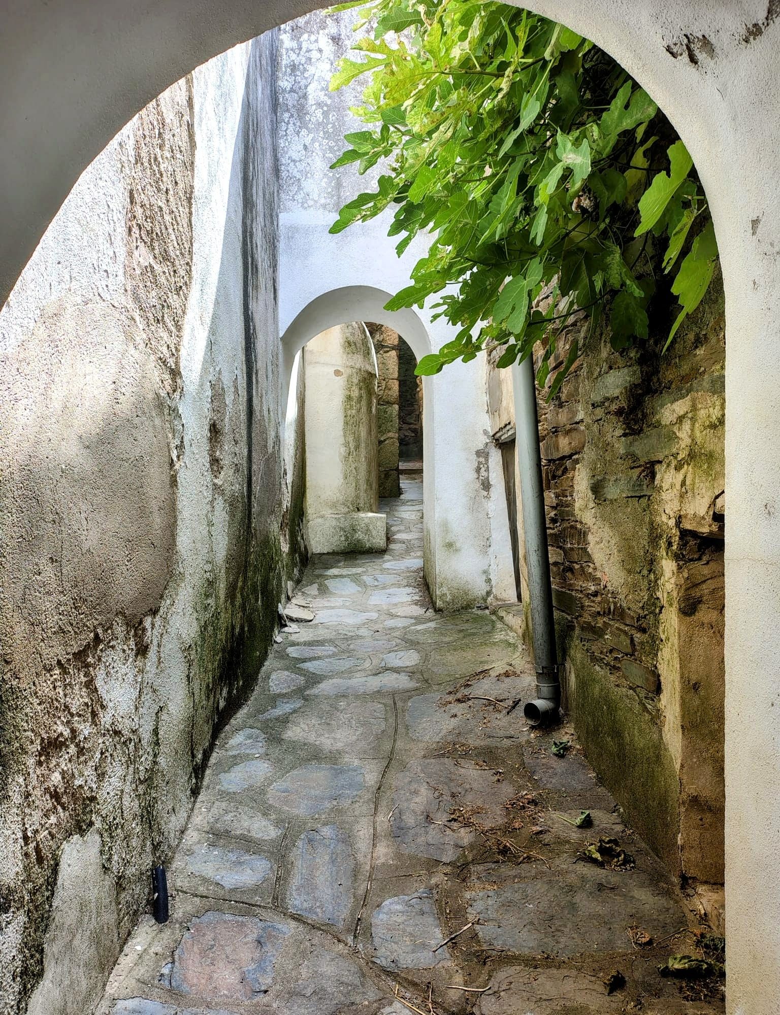 Alcántara