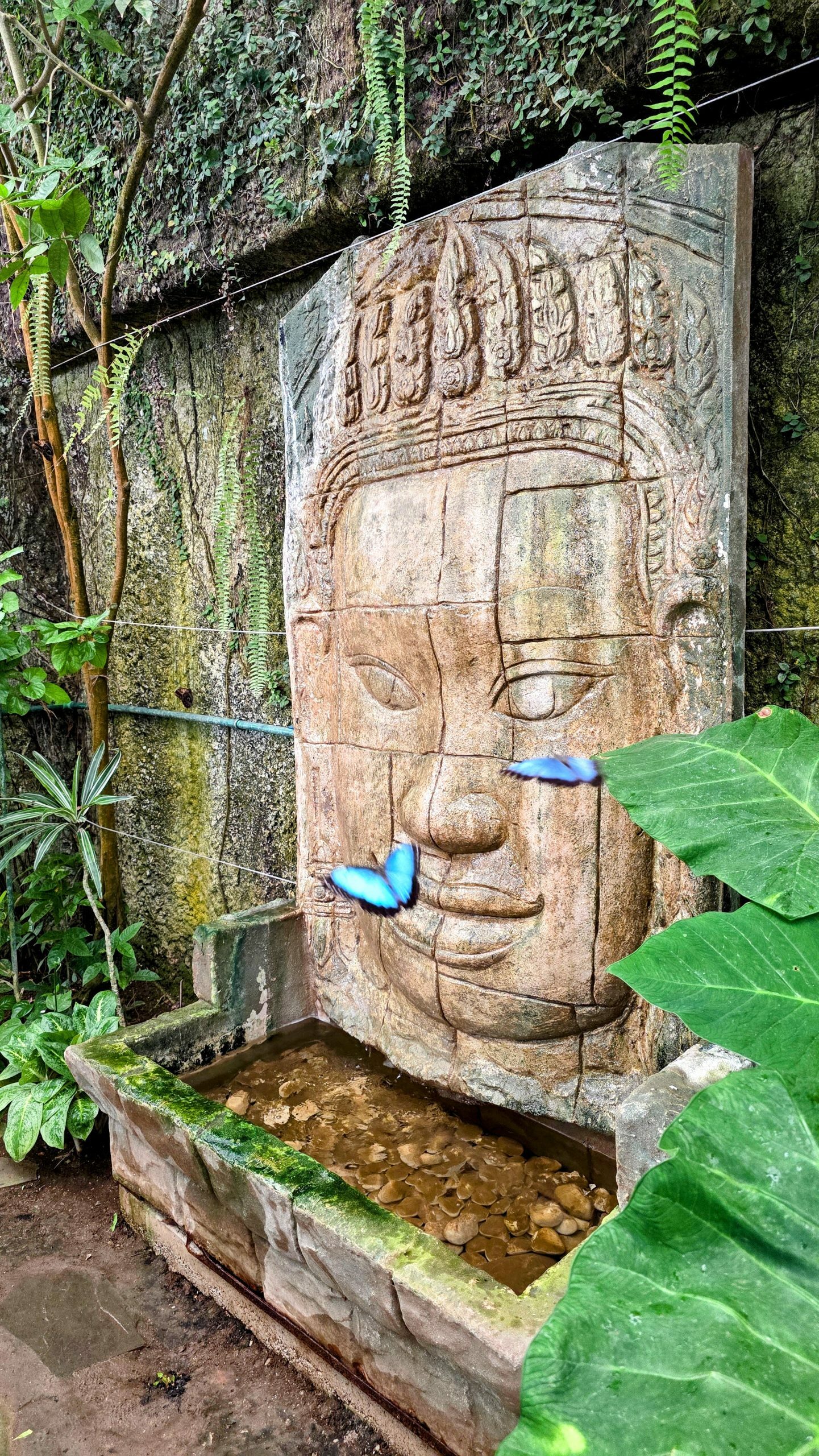 Mariposario Benalmádena