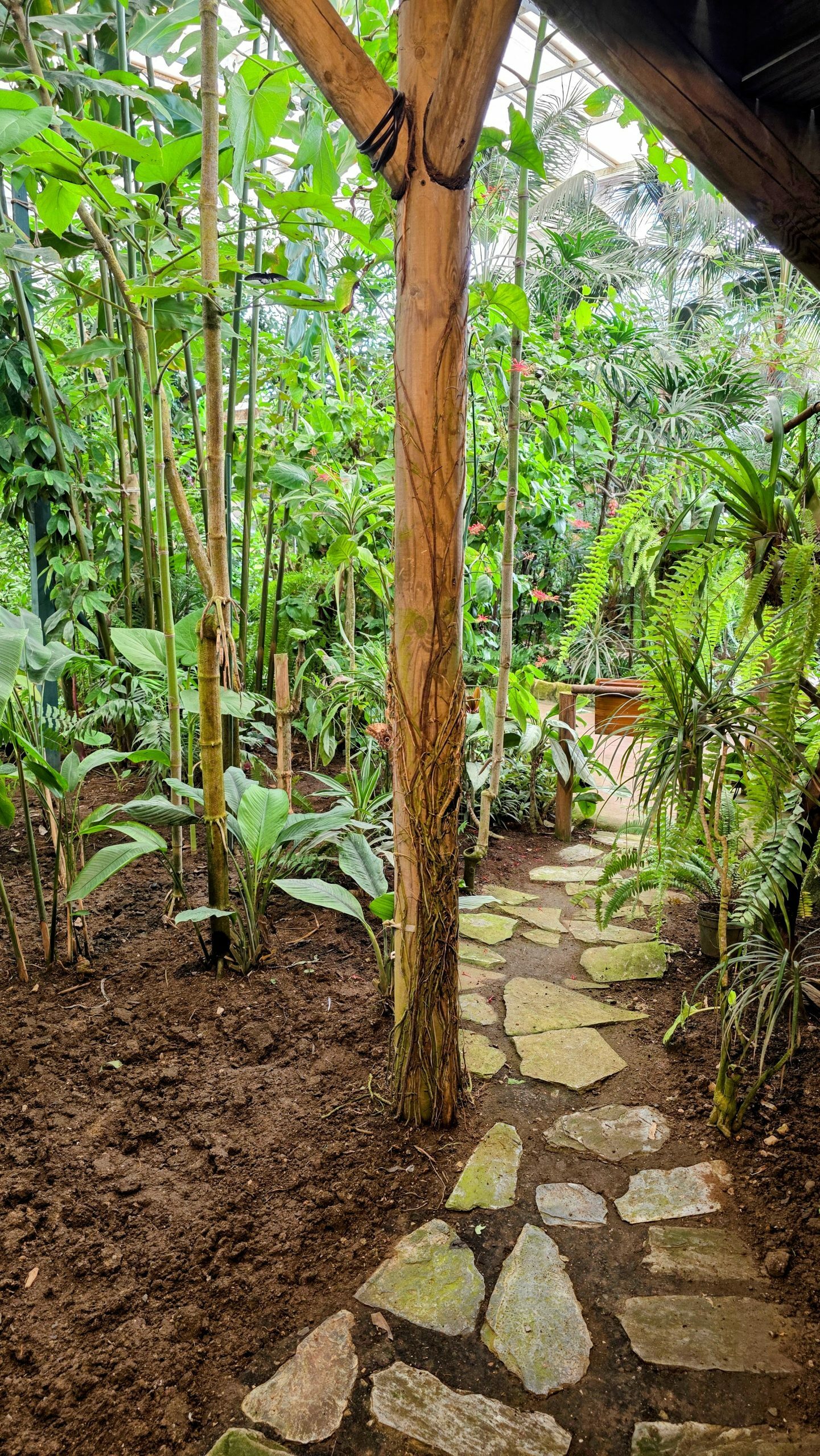 Mariposario Benalmádena