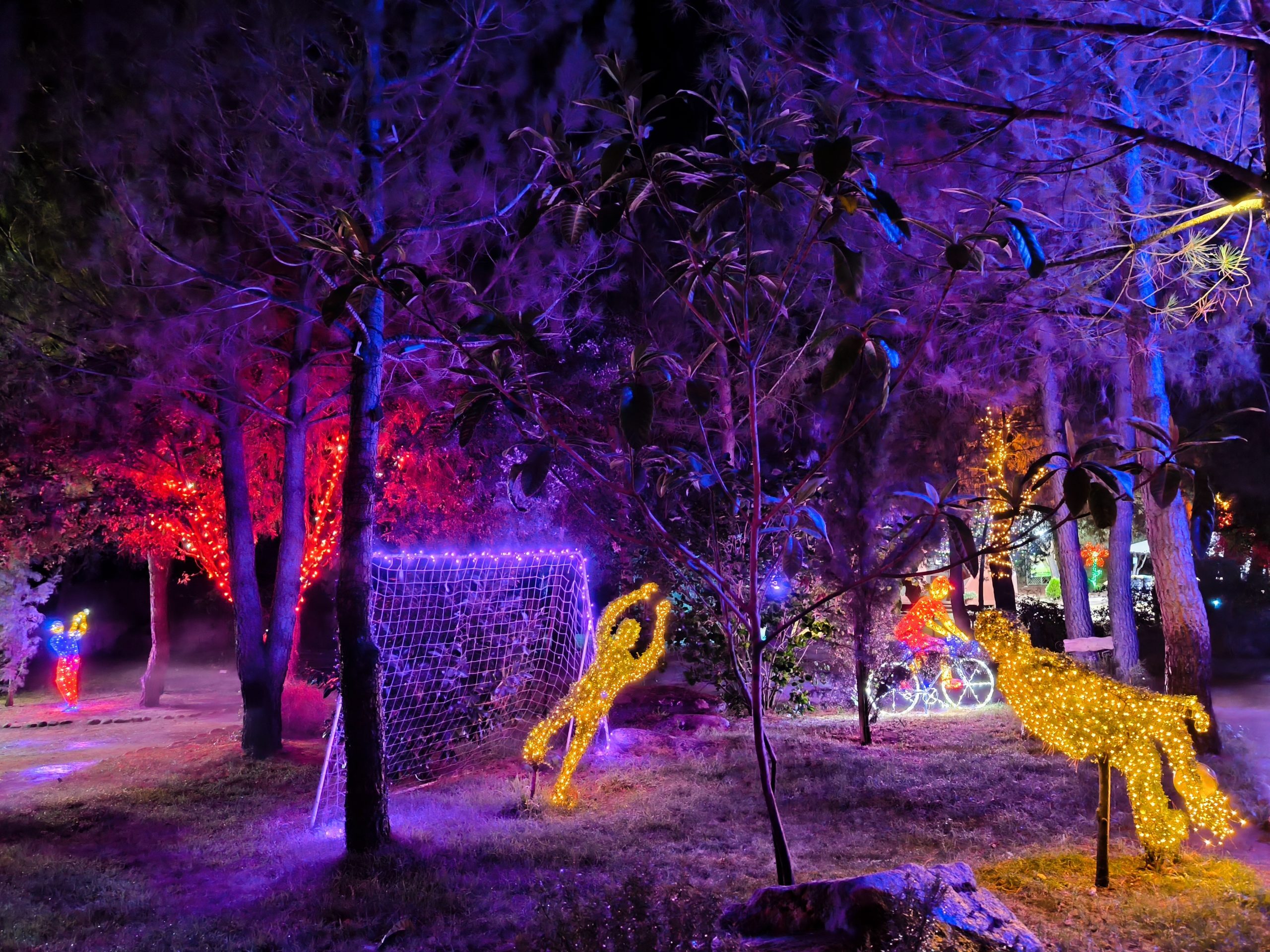 Bosque Encantado iluminacion nocturna