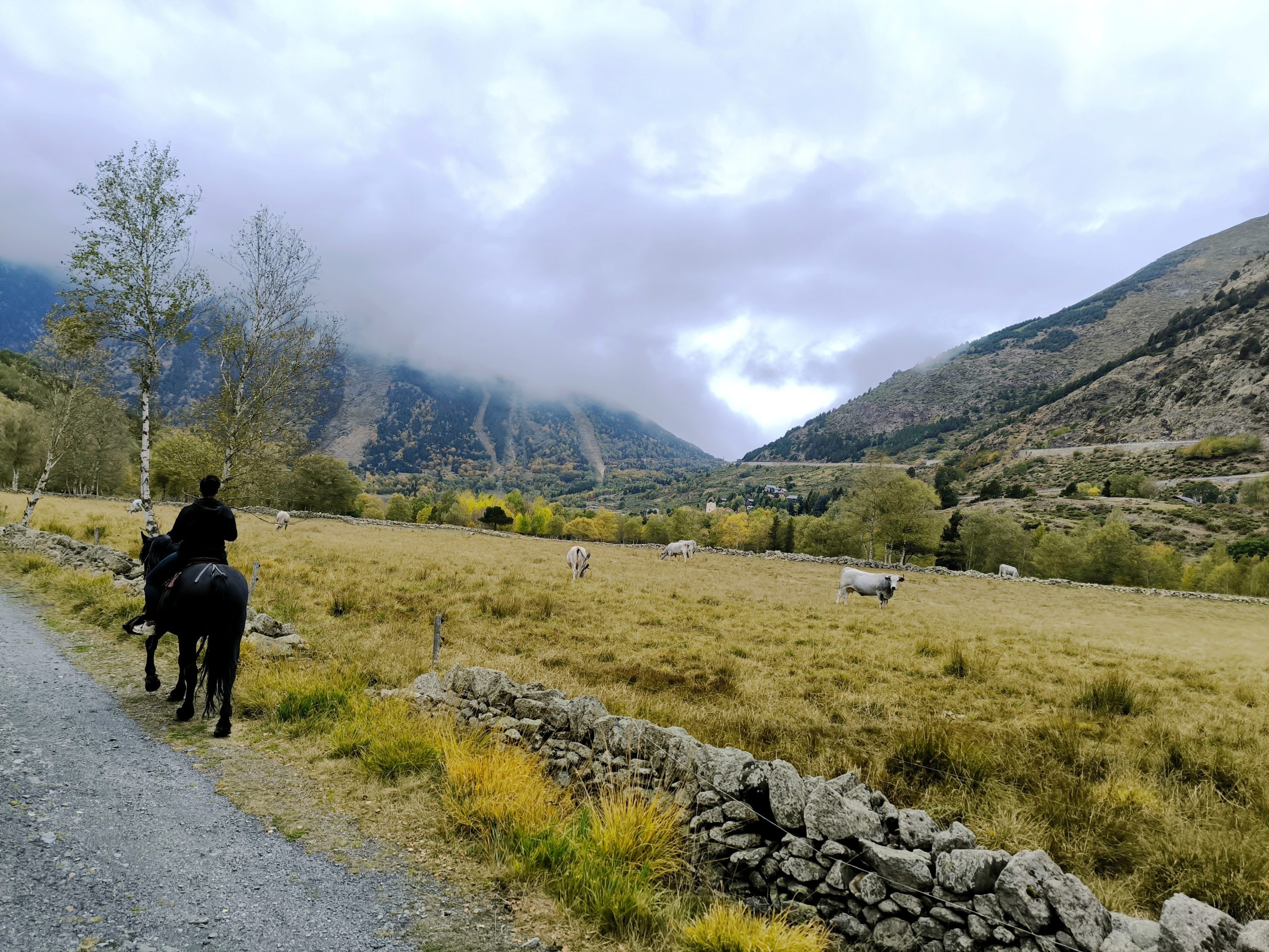 Cerdanya en otoño
