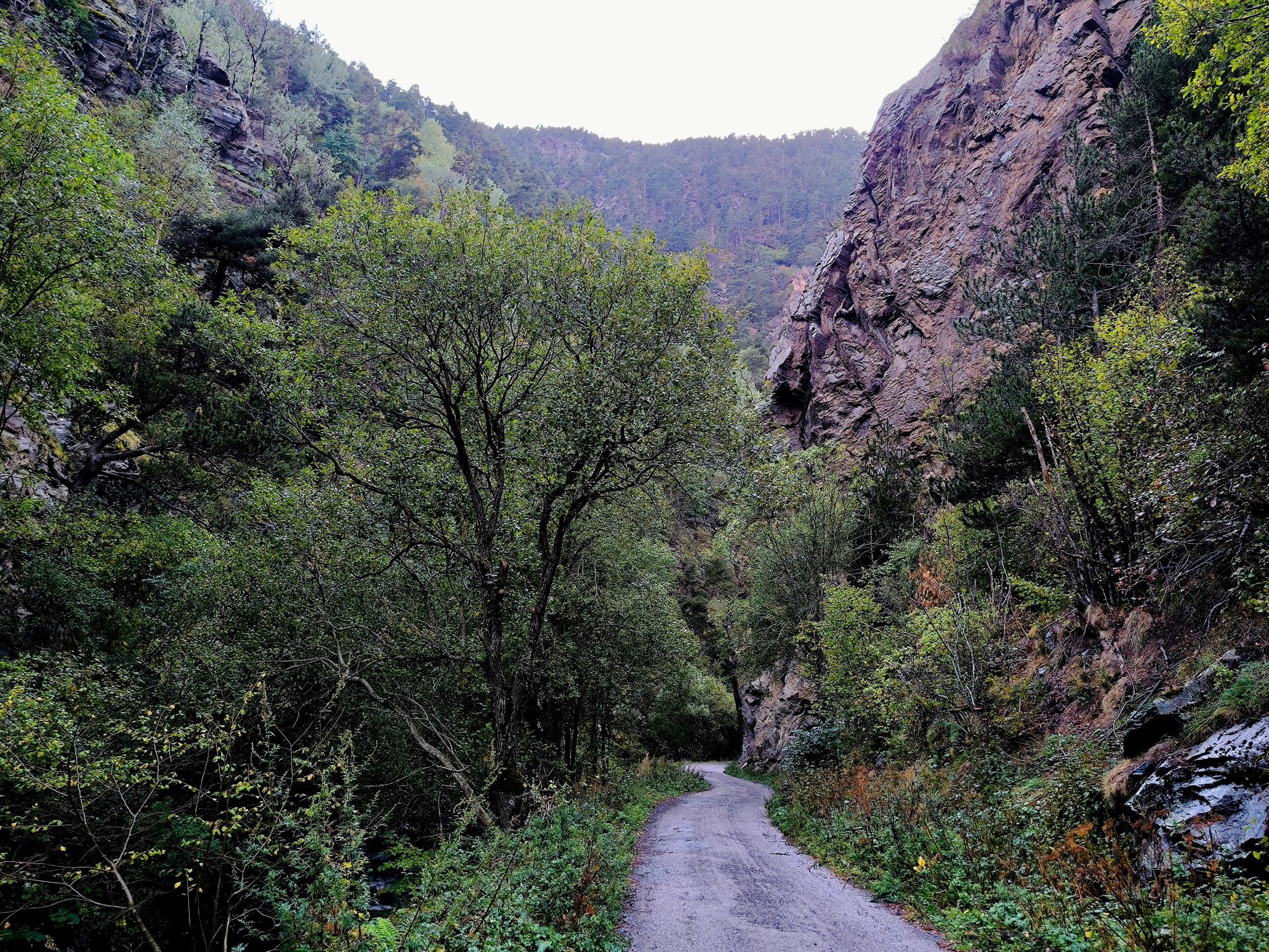 Gorges du Llo
